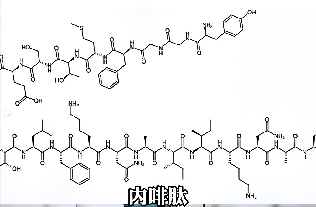 圈子里常说的多巴胺，内啡肽是什么意思?这和事后关怀有什么联系呢？,004.jpg,字母圈软件,字母圈app,sub,抖遇,aftercare,第3张